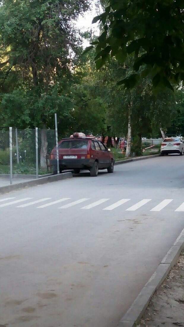 Пятой точкой во дворе, а мечтами в Сочи