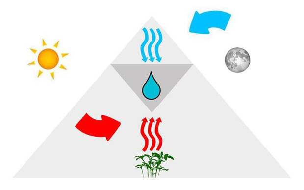 3726595_RootsUp4 (700x439, 17Kb)