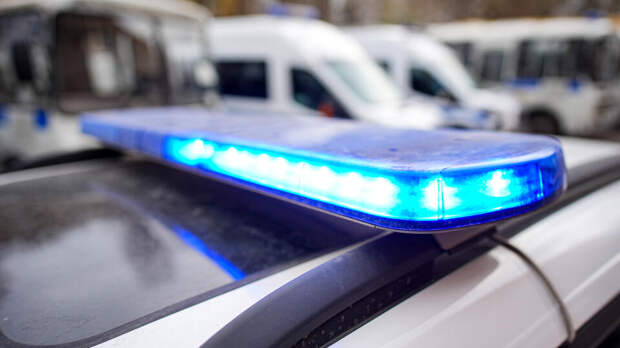 Москвичка по указанию мошенников взломала сейф и украла 6 млн у жителя Приморья