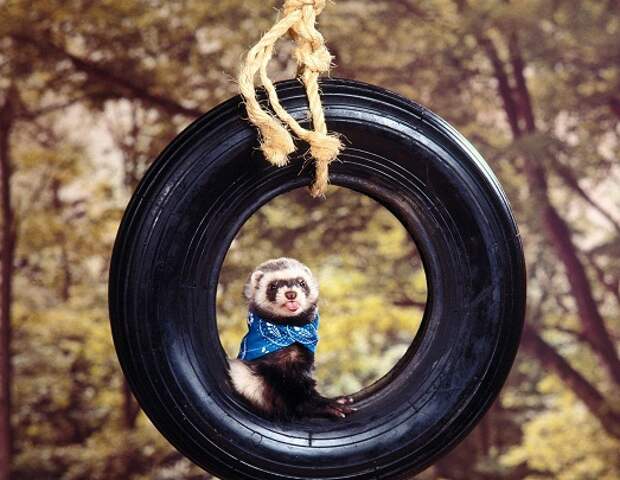 Фотомодель