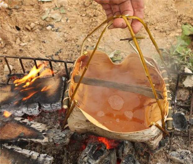 Можно ли вскипятить воду в котелке, сделанном из берёзовой коры? Можно ли вскипятить воду в котелке, сделанном из берёзовой коры? бареза, кора, котелок