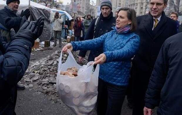 Волк готовит себе алиби Волк готовит себе алиби