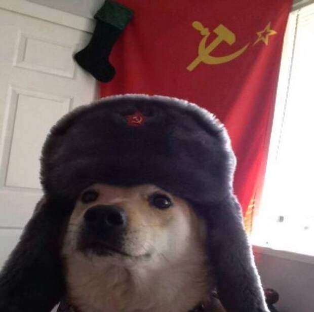 Прикольные постпраздничные картинки