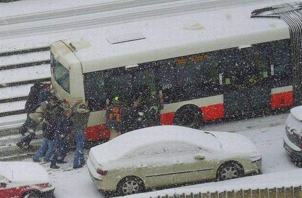 автоприколы