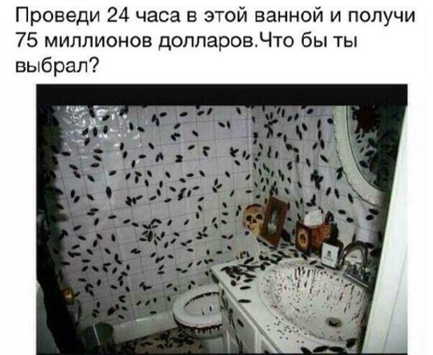 Прикольные картинки (92 фото)