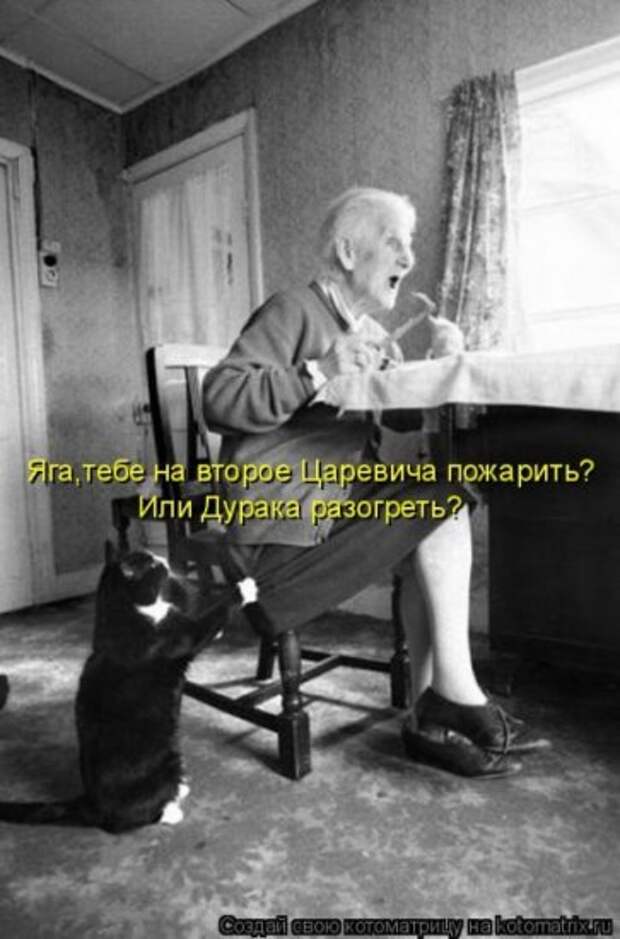 Котоматрица 26