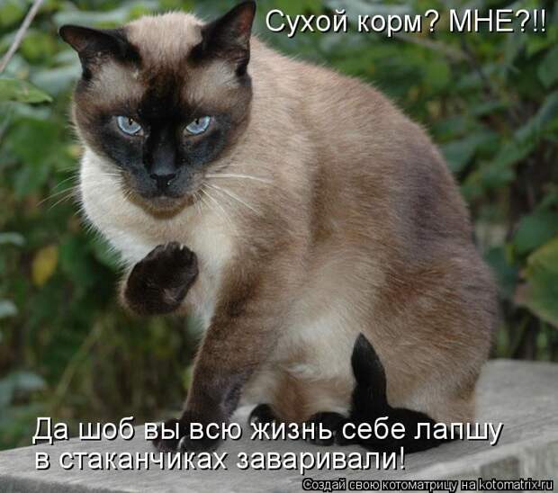 Мысли вслух :)