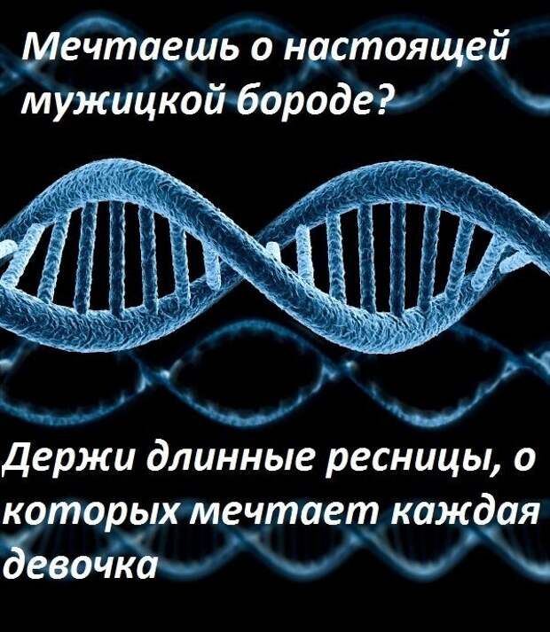 Позитив, юмор, смешные фотографии,прикол