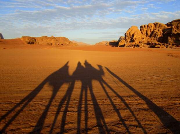 Camels in Wadi Rum, Jordan
