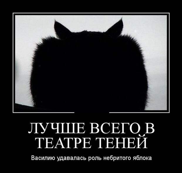 Пятничная подборка демотиваторов демотиватор, юмор