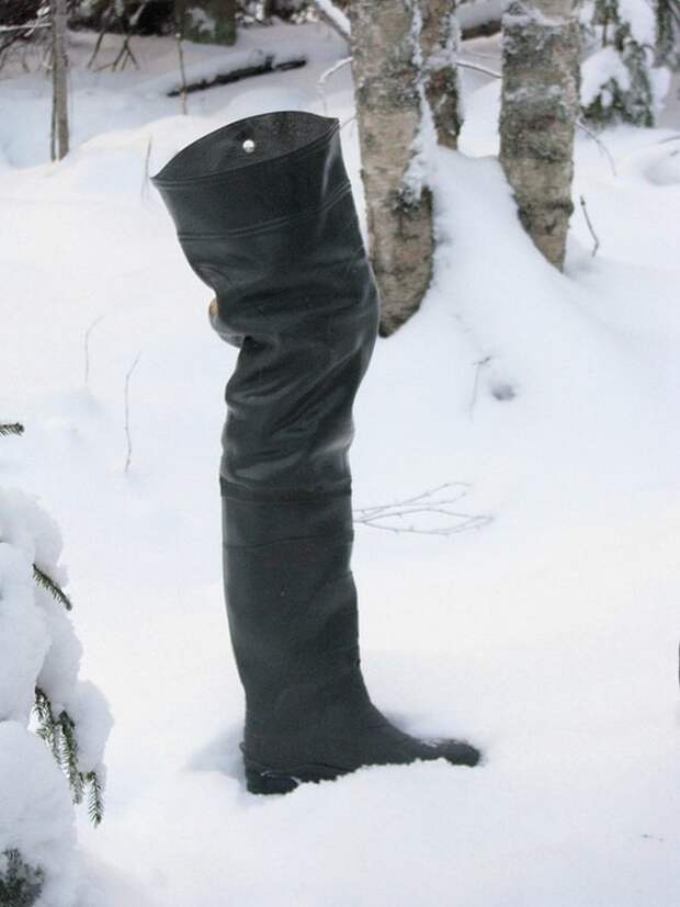 Отпуск в лесу