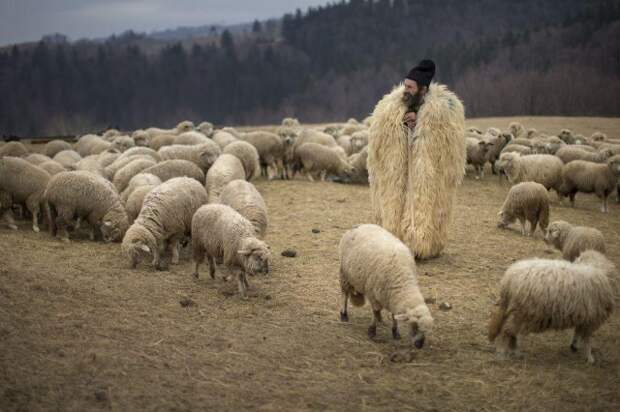 Недалеко от замка Дракулы