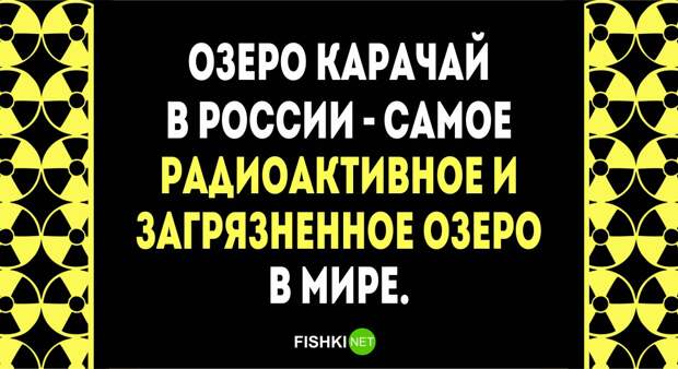 28 фактов о России которые известны Америке люди, россия, факты