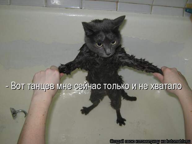 Котоматрица: - Вот танцев мне сейчас только и не хватало