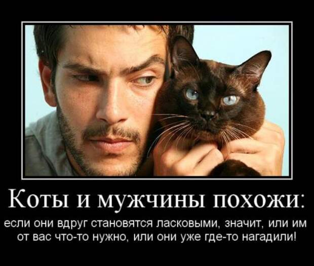 Подборка классных демотиваторов № 95