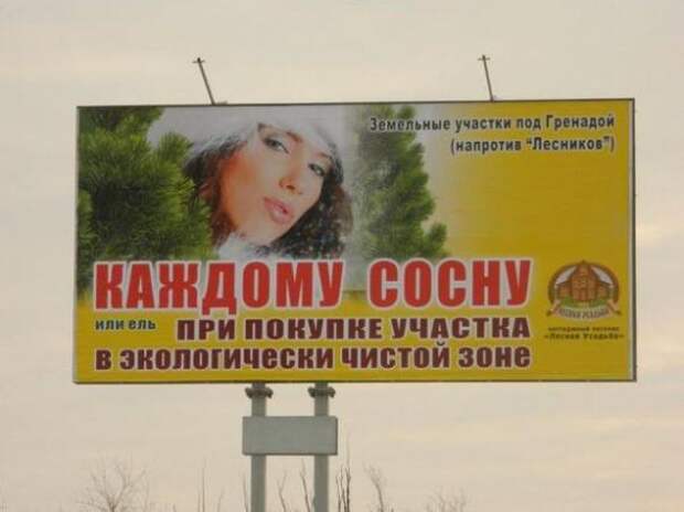 Картинки, юмор, приколы