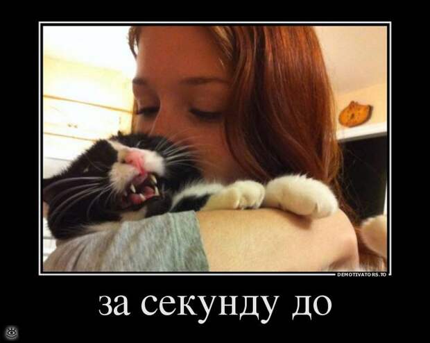 Пора сделать мир чище! 13