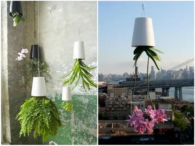 Цветы на подвесах в интерьере. Перевернутые цветы в интерьере. Необычные горшки для комнатных растений. Кашпо вниз головой. Перевернутый цветок.