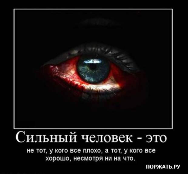 Коллекция демотиваторов