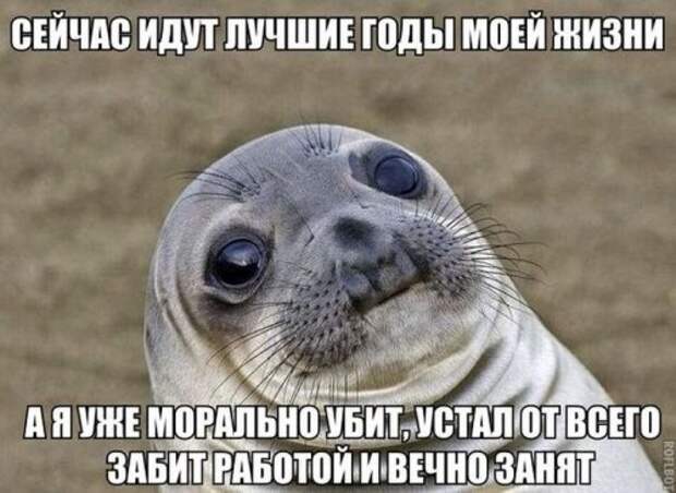 Приколы в картинках (39 шт)