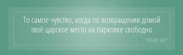 Подслушано у водителей водитель, подслушано