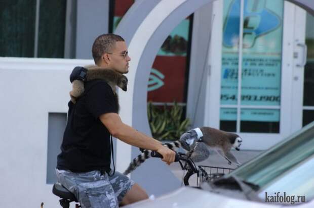 Необычные домашние животные (55 фото) Необычные домашние животные (55 фото)