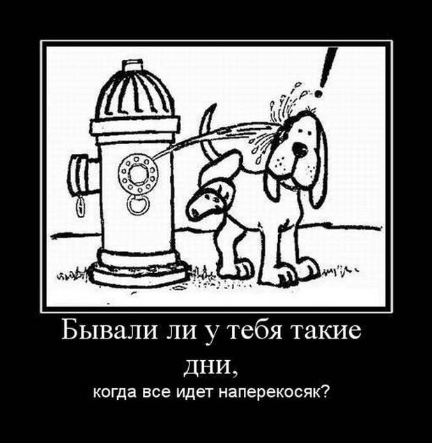 Демотиваторы (30 фото)
