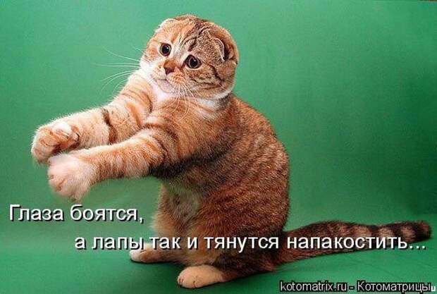 Мысли вслух :)