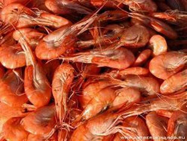 Фотофакт: в России уже продают белорусские креветки