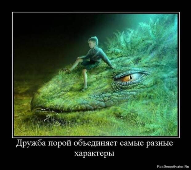 Демотиваторы
