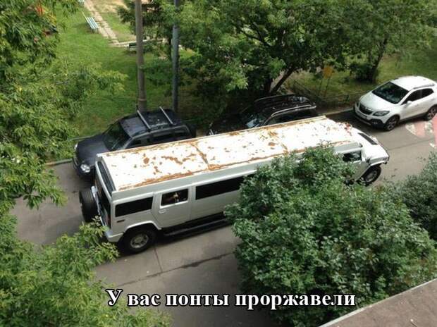 Прикольные картинки (97 фото)