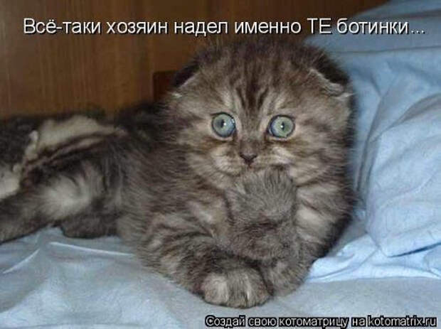 image (500x374, 133Kb)