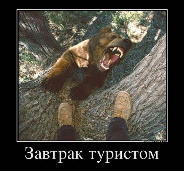 Демотиваторы  демотиваторы, прикол, смех, юмор