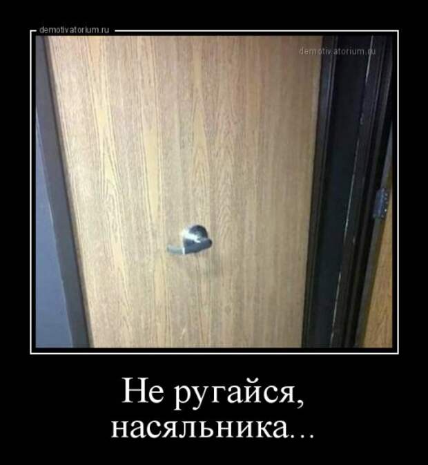 Демотиваторы для отличного настроения