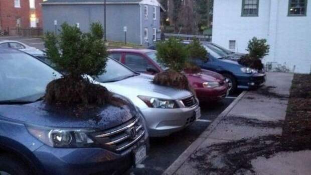 Прикольные картинки (90 фото) Прикольные картинки (90 фото)