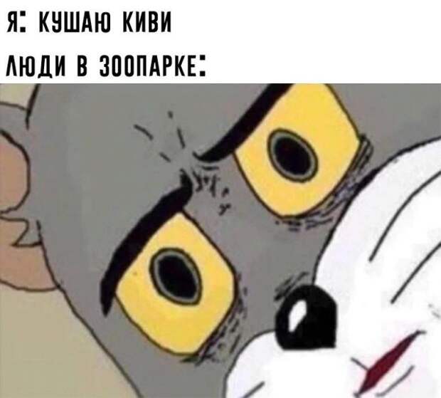 www.vsyako.net