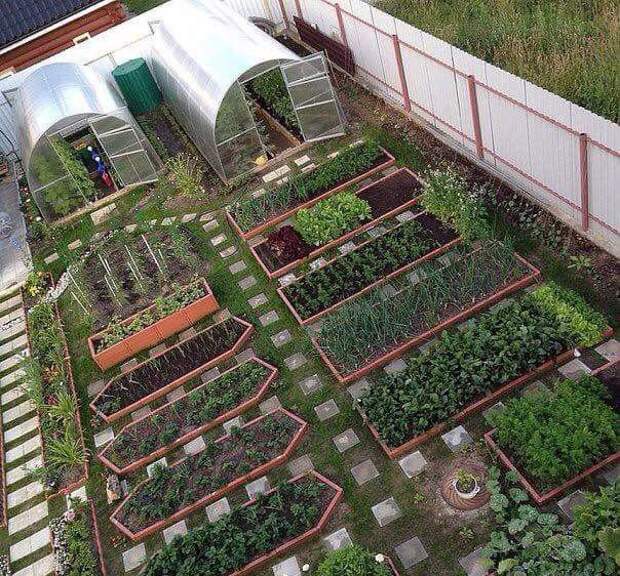 Прикольные картинки. Вечерний выпуск (57 фото)