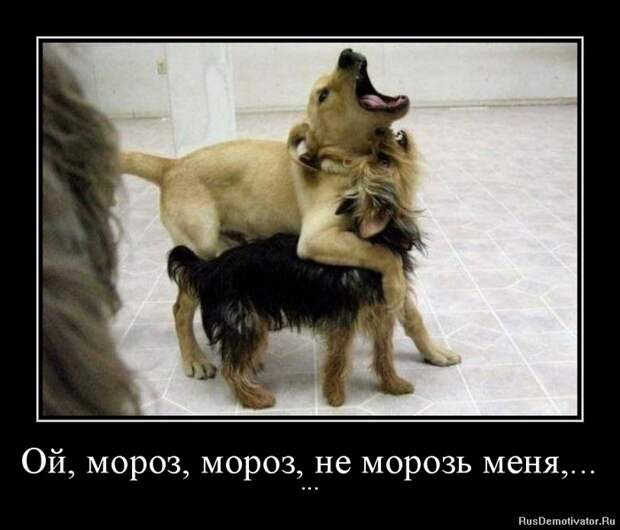 original (700x599, 94Kb)