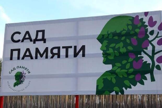 В Тамбовской области этой весной высадили более 148 тысяч молодых деревьев