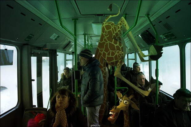 Мультяшки среди нас фотоколлаж, юмор