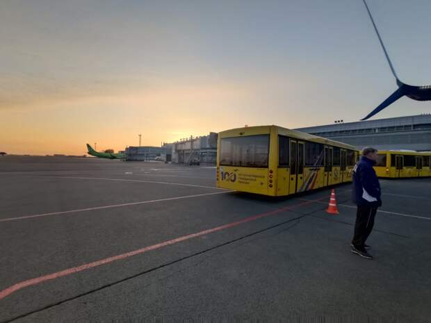 В аэропорту Толмачёво задержали прилетевшего из Иркутска пассажира-дебошира