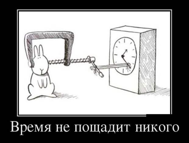 Демотиваторы (30 фото) Демотиваторы (30 фото)