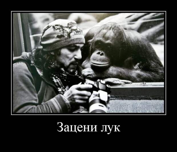 Демотиваторы №1093 (30 фото)