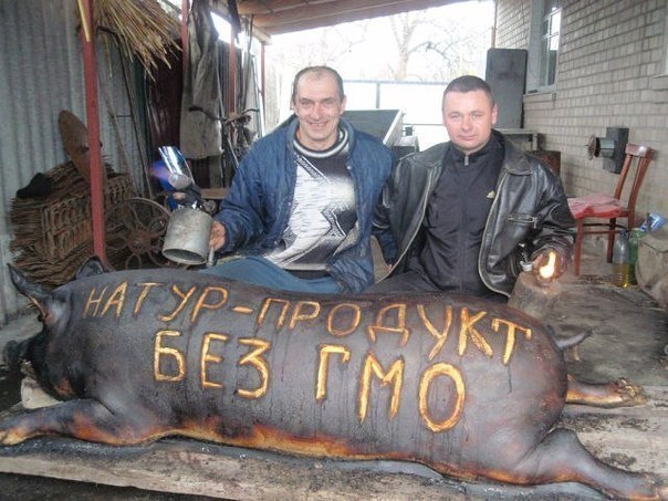 Вестник социальных сетей