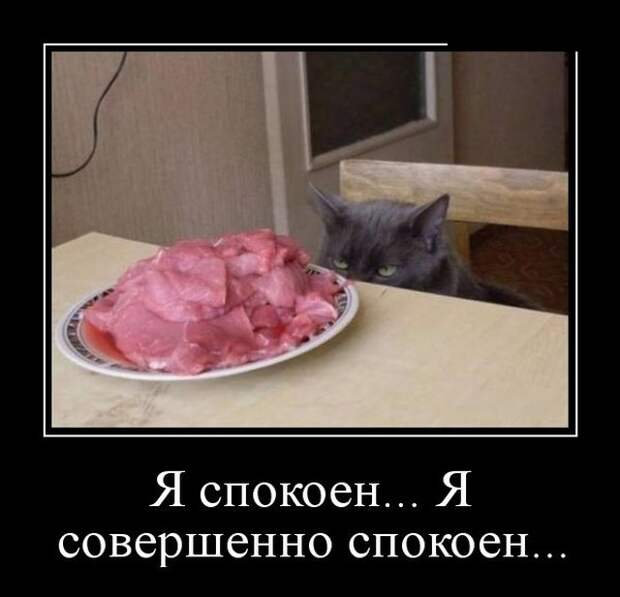 Демотиваторы (30 фото)