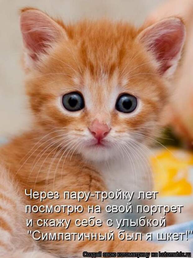9783191f732af1c06a58fa2df46_prev