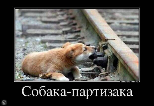 А ты знаешь, что делать со своей жизнью? 9
