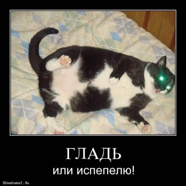 Демотиваторы, много новых и только прикольных.