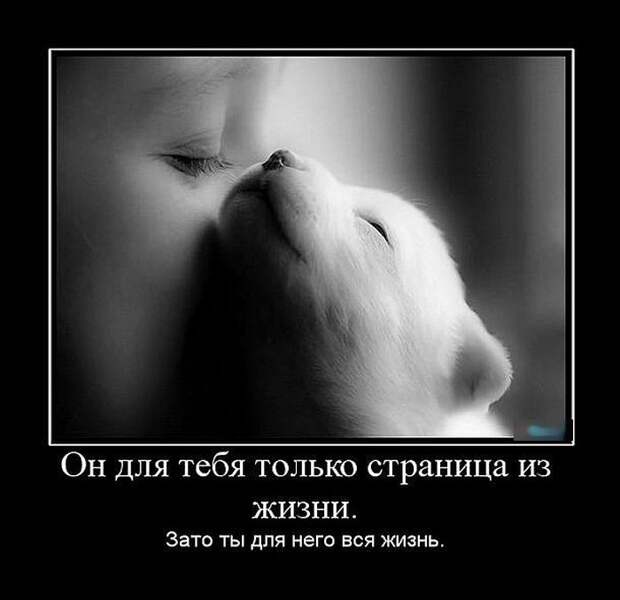 Демотиваторы (30 фото)