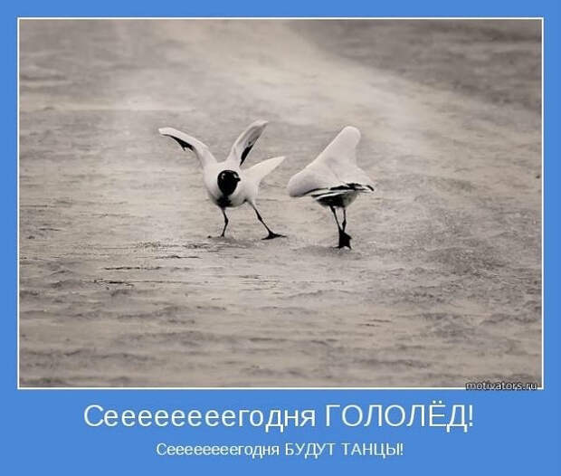 image (640x543, 165Kb)